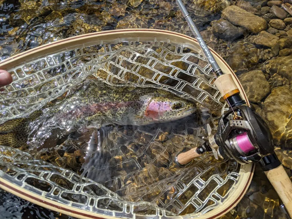 Secret to Catch More Fish! 4 Reasons to Use Pink Braided Fishing Line -  Welcome to Aaron Hunt Fishing
