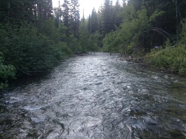 The First Step to Finding Better Places to Catch Bigger Fish