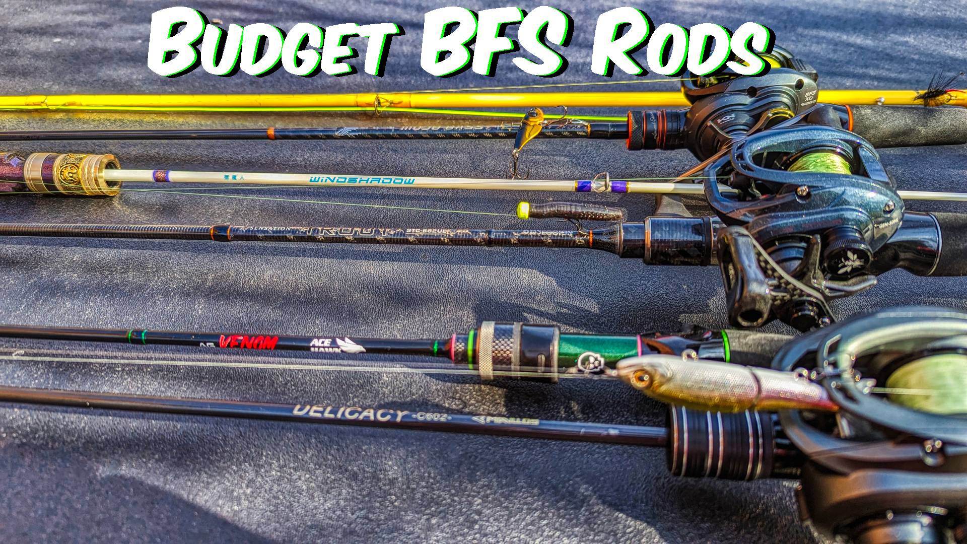 The Best Budget BFS Fishing Rods