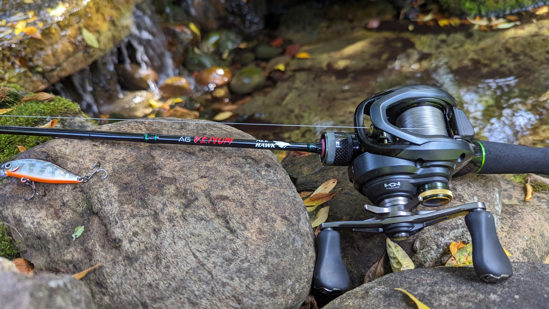 Ace Hawk Venom BFS Rod