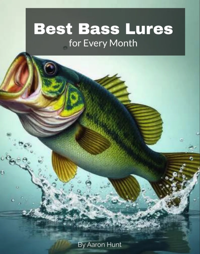 Best bass Lures for Every Month