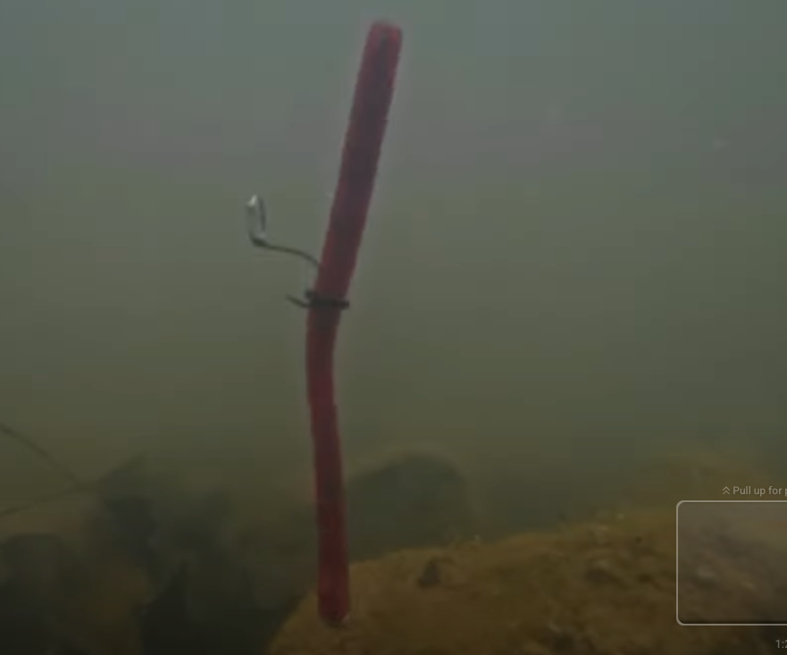 neko rigged plastic worm underwater