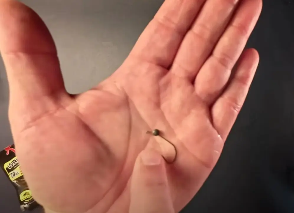 image of Zappu inchi shot wacky hook