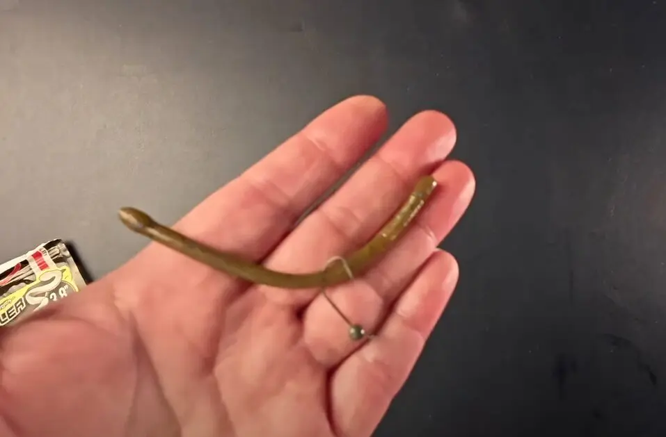 shot wacky plastic worm rig