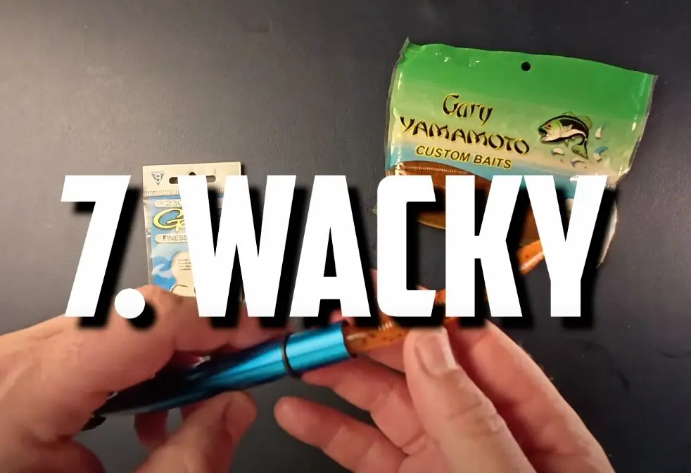 Image of aaron hunt making a wacky rigged Senko plastic worm