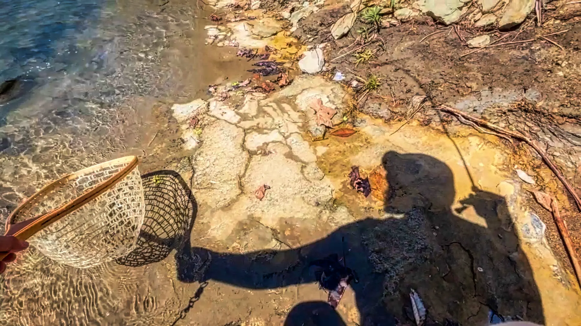 Bait Finesse Trout Fishing