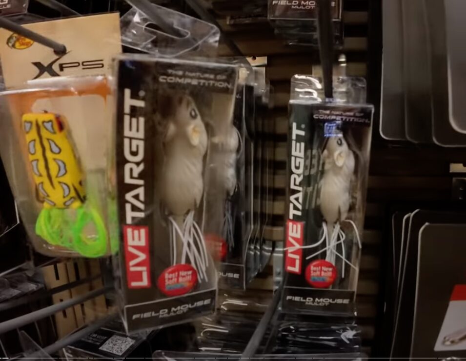 Picture of Live target Mouse at Cabela's near me
